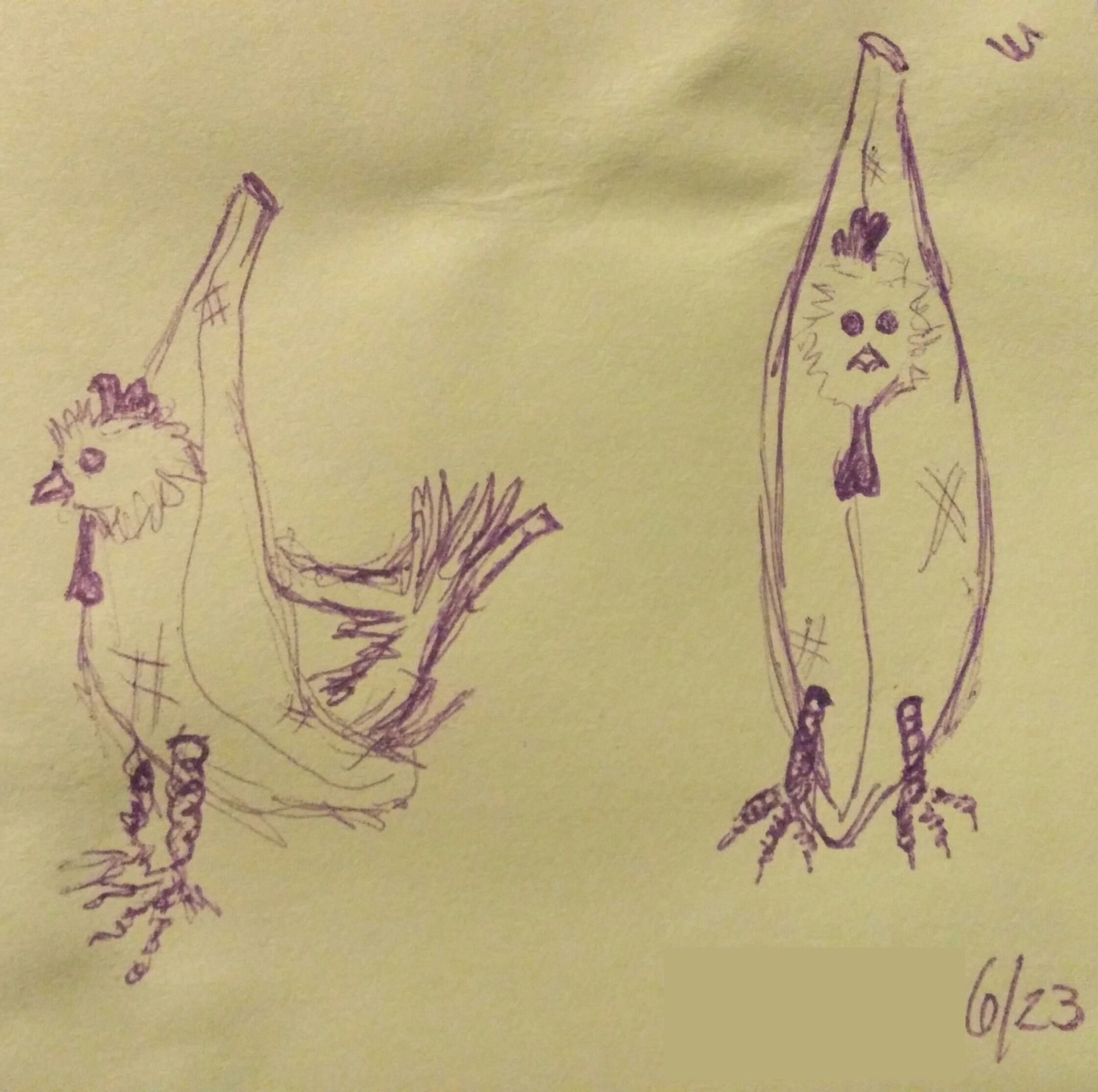 ballpoint pen on paper (June 2023)